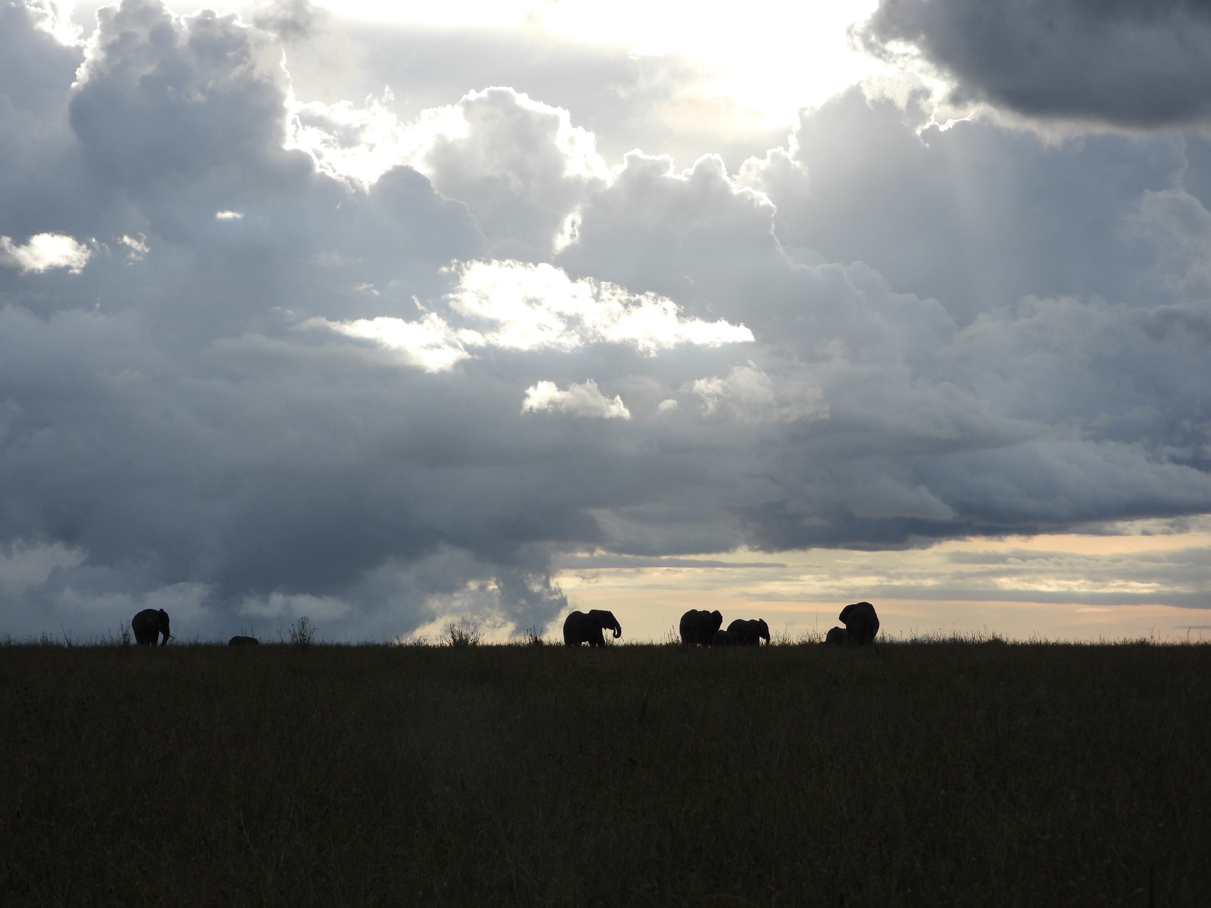The plains they navigate. Ancient routes, still travelled.