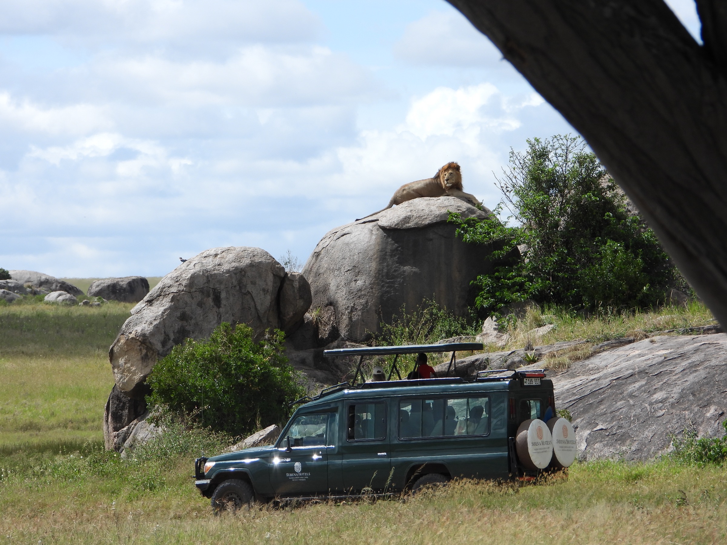 Two ecosystems, one landscape. Coexistence, in a single frame.