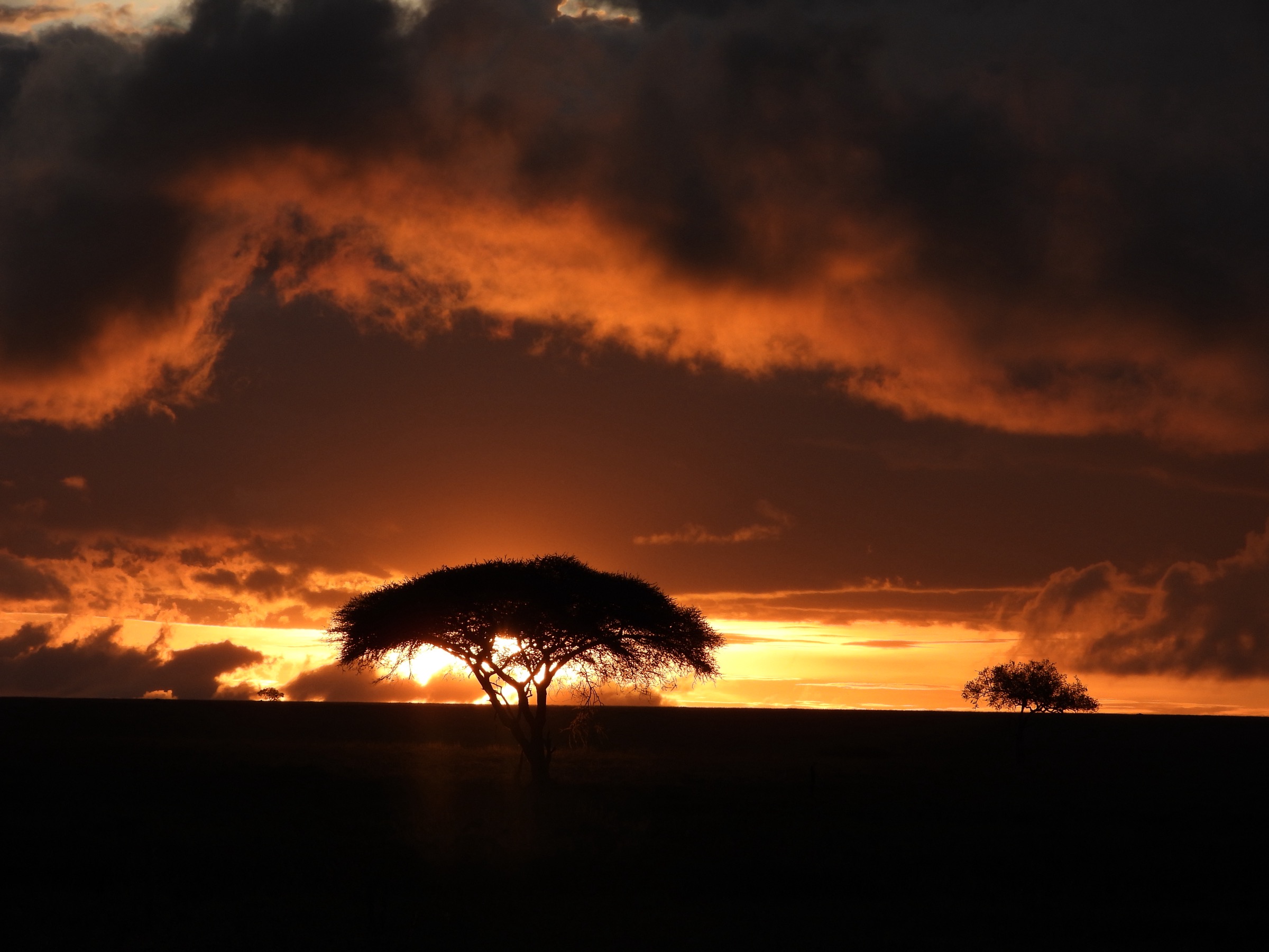Tarangire in green season, swamps full, the country soft again